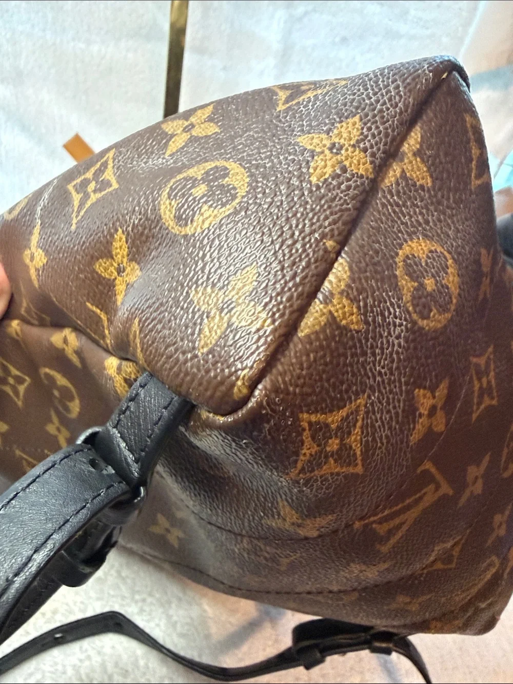 Louis Vuitton Palm Springs Monogram Mini Backpack with Gold Hardware